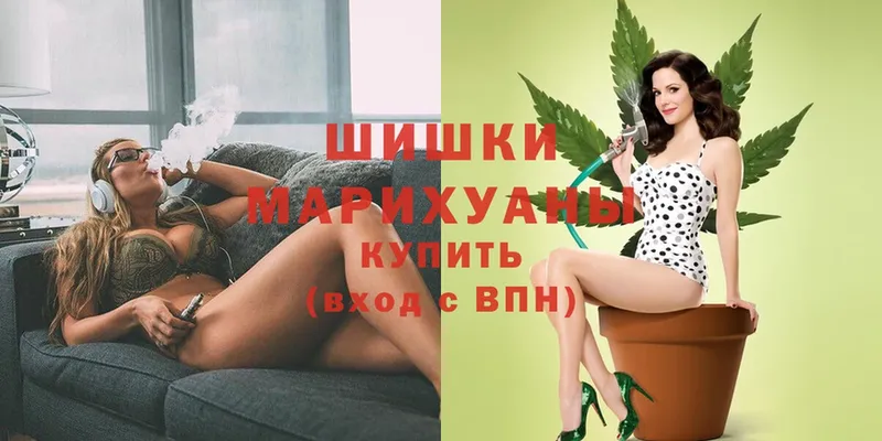 продажа наркотиков  Малаховка  Каннабис LSD WEED 